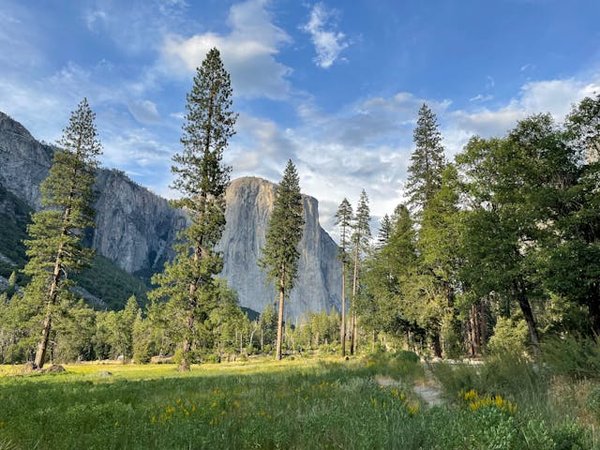 Quels sont les meilleurs itinéraires pour une randonnée dans les montagnes de l'Andalousie, Espagne?